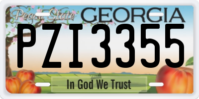 GA license plate PZI3355
