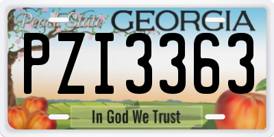 GA license plate PZI3363