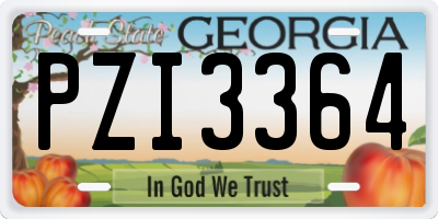 GA license plate PZI3364