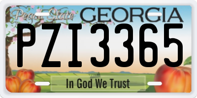 GA license plate PZI3365