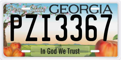 GA license plate PZI3367