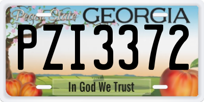 GA license plate PZI3372