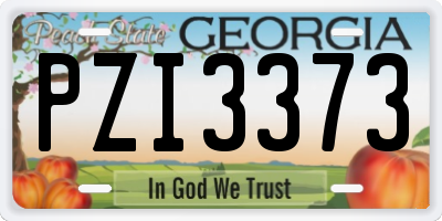 GA license plate PZI3373