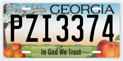 GA license plate PZI3374