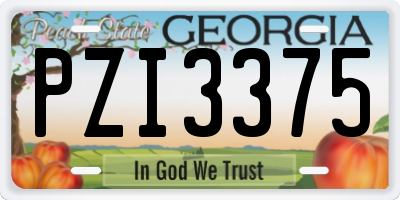 GA license plate PZI3375