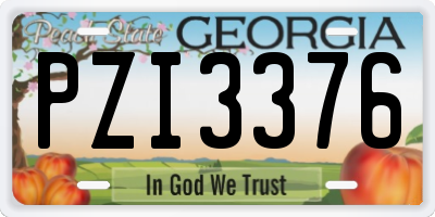GA license plate PZI3376