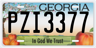 GA license plate PZI3377