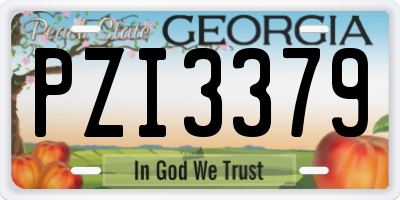 GA license plate PZI3379
