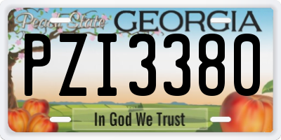 GA license plate PZI3380