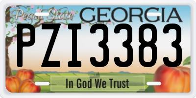 GA license plate PZI3383