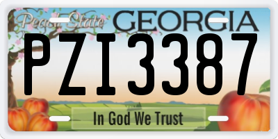 GA license plate PZI3387