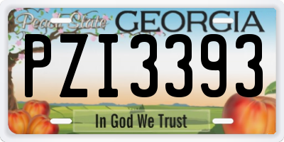 GA license plate PZI3393