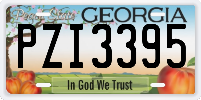 GA license plate PZI3395