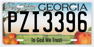 GA license plate PZI3396