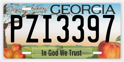 GA license plate PZI3397