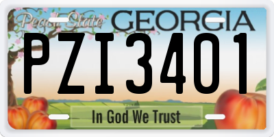 GA license plate PZI3401