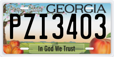 GA license plate PZI3403