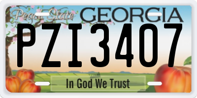 GA license plate PZI3407
