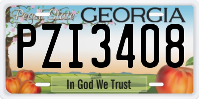 GA license plate PZI3408
