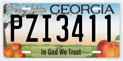 GA license plate PZI3411