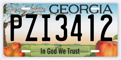 GA license plate PZI3412