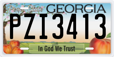 GA license plate PZI3413