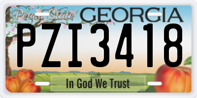 GA license plate PZI3418