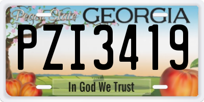 GA license plate PZI3419