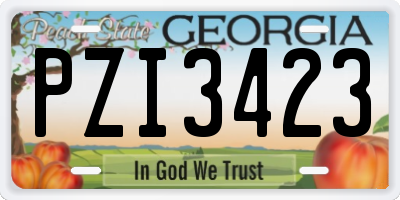 GA license plate PZI3423
