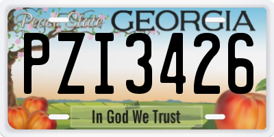 GA license plate PZI3426