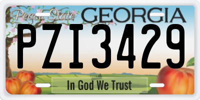 GA license plate PZI3429