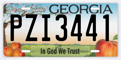 GA license plate PZI3441