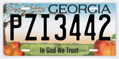 GA license plate PZI3442