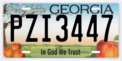 GA license plate PZI3447