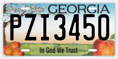 GA license plate PZI3450