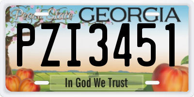 GA license plate PZI3451