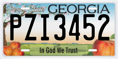GA license plate PZI3452