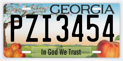 GA license plate PZI3454