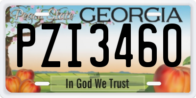 GA license plate PZI3460