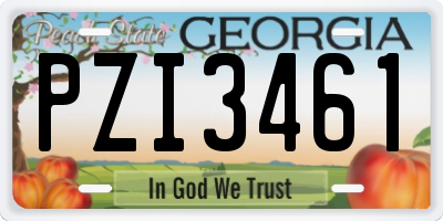 GA license plate PZI3461