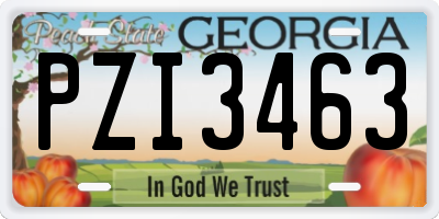 GA license plate PZI3463