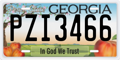 GA license plate PZI3466