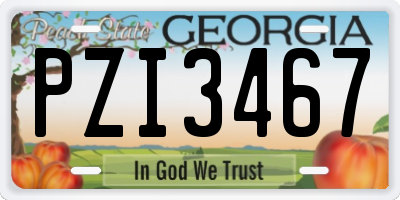 GA license plate PZI3467