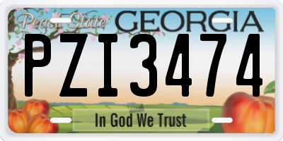 GA license plate PZI3474