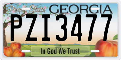 GA license plate PZI3477