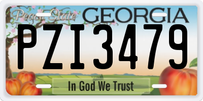 GA license plate PZI3479