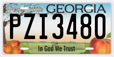 GA license plate PZI3480