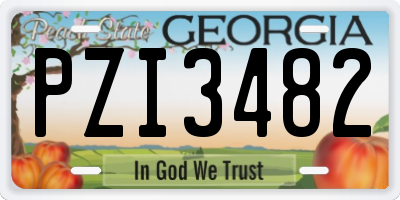 GA license plate PZI3482
