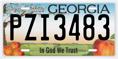 GA license plate PZI3483