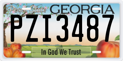 GA license plate PZI3487